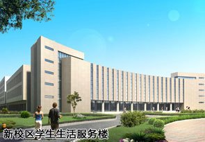 星空宣布成为切尔西官方合作伙伴办公室